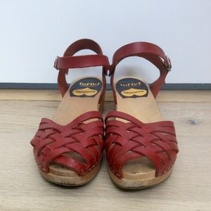 Red Swedish Hasbeens